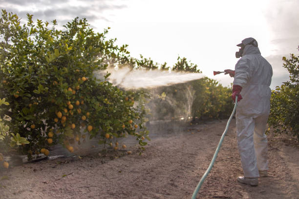 Pest Control for Warehouses in Peculiar, MO